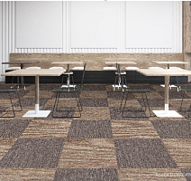 InnovFlor Space D