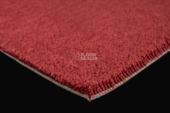 Lano Sense Pure 446 фото 5 | FLOORDEALER