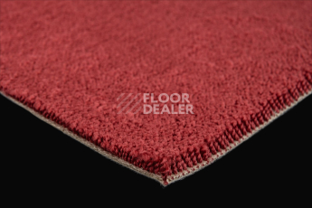 Lano Sense Pure 446 фото 5 | FLOORDEALER