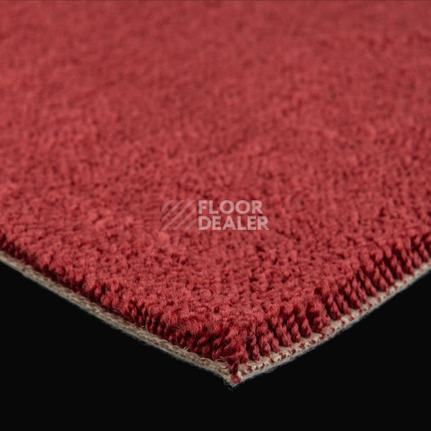 Lano Sense Pure 446 фото 5 | FLOORDEALER