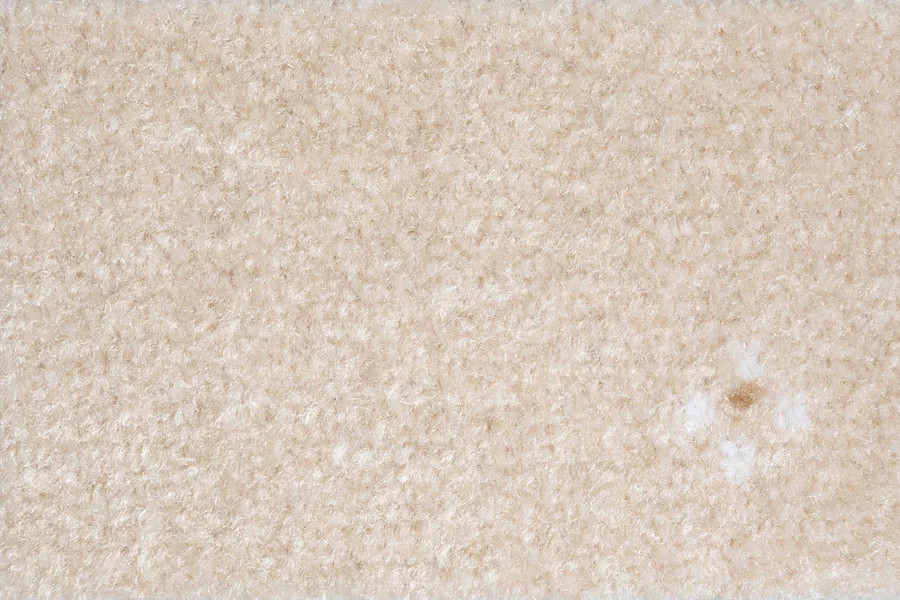 AW Animo AW Animo 34 фото 2 | FLOORDEALER