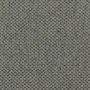 Ковролин Carpet Concept Goi 1 2805  | FLOORDEALER
