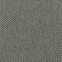 Ковролин Carpet Concept Goi 1 2805 фото 1 | FLOORDEALER