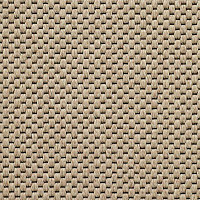 Ковролин Carpet Concept Yve 2 6401 фото 1 | FLOORDEALER
