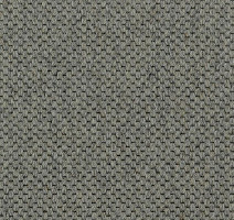 Ковролин Carpet Concept Goi 1 2805 фото 1 | FLOORDEALER