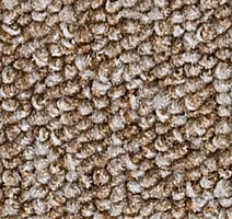 Ковролин Infloor Campo 850 фото 1 | FLOORDEALER