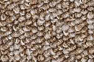 Ковролин Infloor Campo 850 фото  | FLOORDEALER