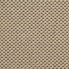 Ковролин Carpet Concept Yve 2 6401 фото 1 | FLOORDEALER