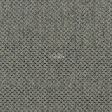 Carpet Concept Goi 1 2805 фото 1 | FLOORDEALER
