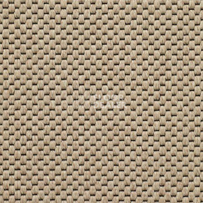 Ковролин Carpet Concept Yve 2 6401 фото 1 | FLOORDEALER