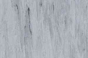 Линолеум Mipolam Robust El7 0005 фото  | FLOORDEALER