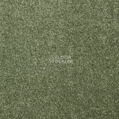 Ковролин AW Florida 24 фото 1 | FLOORDEALER