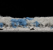 ColorKey ColorKey c 06 фото 3 | FLOORDEALER