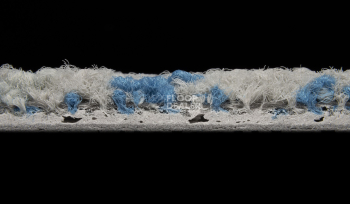 ColorKey ColorKey c 06 фото 3 | FLOORDEALER