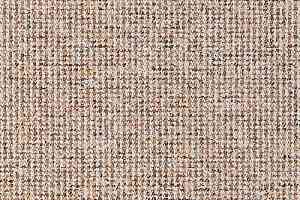 Ковролин Balta Brazil 700 фото  | FLOORDEALER