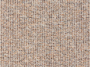 Ковролин Balta Brazil 700 фото 1 | FLOORDEALER