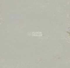 Кварцвиниловые полы Marmoleum Modular Shade 3717 фото 1 | FLOORDEALER