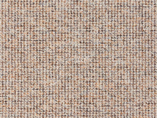 Ковролин Balta Brazil 700 фото 1 | FLOORDEALER