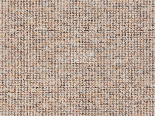 Ковролин Balta Brazil 700 фото 1 | FLOORDEALER
