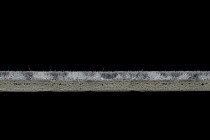 Flotex Colour s 445022 Canyon limestone фото 5 | FLOORDEALER