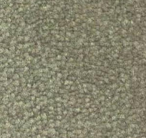 Ковролин Shaw Bradberry 30 732 фото 1 | FLOORDEALER