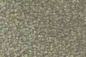 Ковролин Shaw Bradberry 30 732 фото  | FLOORDEALER