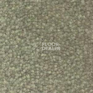 Ковролин Shaw Bradberry 30 732 фото 1 | FLOORDEALER