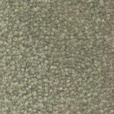 Shaw Bradberry 30 732 фото 1 | FLOORDEALER