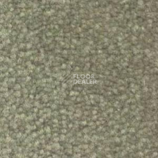 Ковролин Shaw Bradberry 30 732 фото 1 | FLOORDEALER