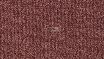 Ковролин Vorwerk Passion 1046 Vorwerk 1n09 фото 1 | FLOORDEALER