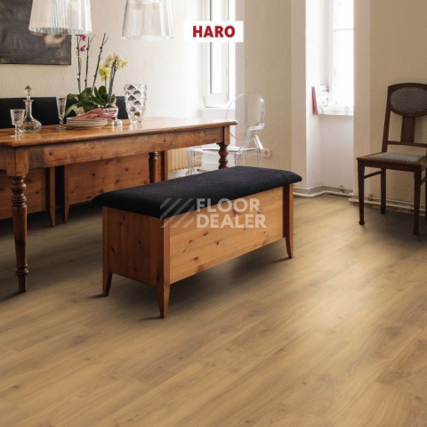 Haro Tritty 100 Campus 4V ДУБ ЭМИЛИЯ МЕДОВЫЙ 541541 фото 2 | FLOORDEALER