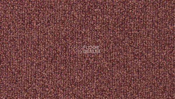 Ковролин Vorwerk Passion 1046 Vorwerk 1n09 фото 1 | FLOORDEALER