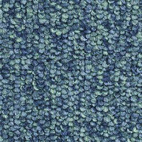 Ковролин Balsan Centaure 2000 Centaure 290 фото 1 | FLOORDEALER