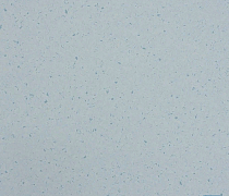 Кварцвиниловые полы Lino Fatra Praktik 2003 фото 1 | FLOORDEALER