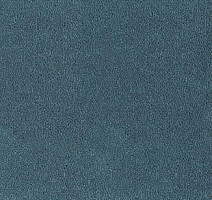 Ковролин Desso Asteranne 8211 фото 1 | FLOORDEALER