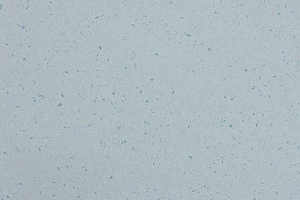 Кварцвиниловые полы Lino Fatra Praktik 2003 фото  | FLOORDEALER