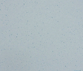 Кварцвиниловые полы Lino Fatra Praktik 2003 фото 1 | FLOORDEALER