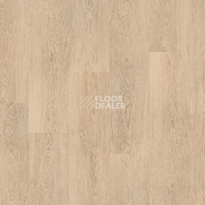 Кварцвиниловые полы Tarkett Art Vinyl Progressive House STEVE фото 1 | FLOORDEALER