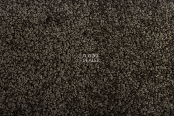 Haima Noble 67 фото 2 | FLOORDEALER