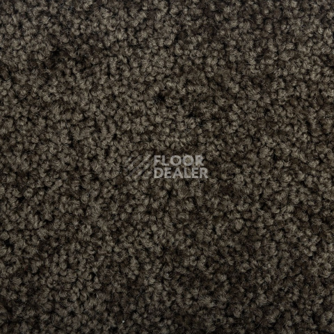 Haima Noble 67 фото 2 | FLOORDEALER