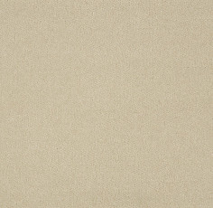 Ковролин Big Royale 317 фото 1 | FLOORDEALER