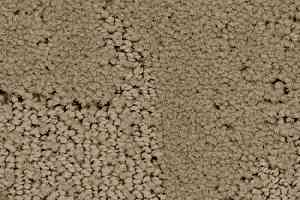 Ковролин Balsan Monaco 630 фото  | FLOORDEALER