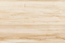 Пробковое покрытие Corkstyle Wood MAPLE фото 1 | FLOORDEALER