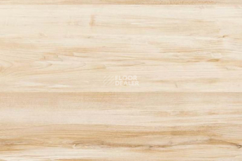 Пробковое покрытие Corkstyle Wood MAPLE фото 1 | FLOORDEALER