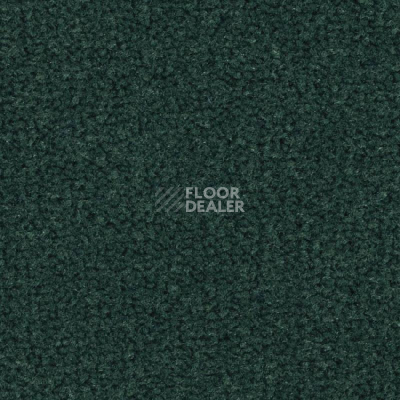 Ковролин Balsan Les Best 290 фото 1 | FLOORDEALER