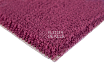 Balsan Les Best S 599 фото 4 | FLOORDEALER
