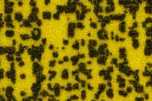 Ковролин Flotex Metro Neon 149605 s 287007 фото  | FLOORDEALER