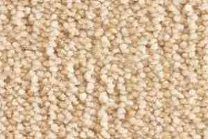 Ковролин Balsan Delice Delice 620 фото  | FLOORDEALER