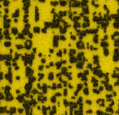 Ковролин Flotex Metro Neon 149605 s 287007 фото 1 | FLOORDEALER