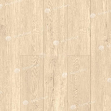 Кварцвиниловые полы Alpine Floor Sequoia (SPC) Секвойя Классик ЕСО 6-10 SPC фото 1 | FLOORDEALER